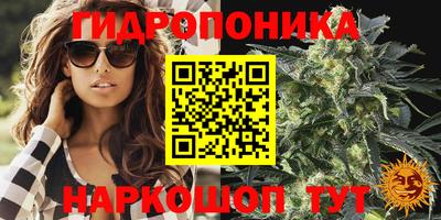 марихуана Аргун