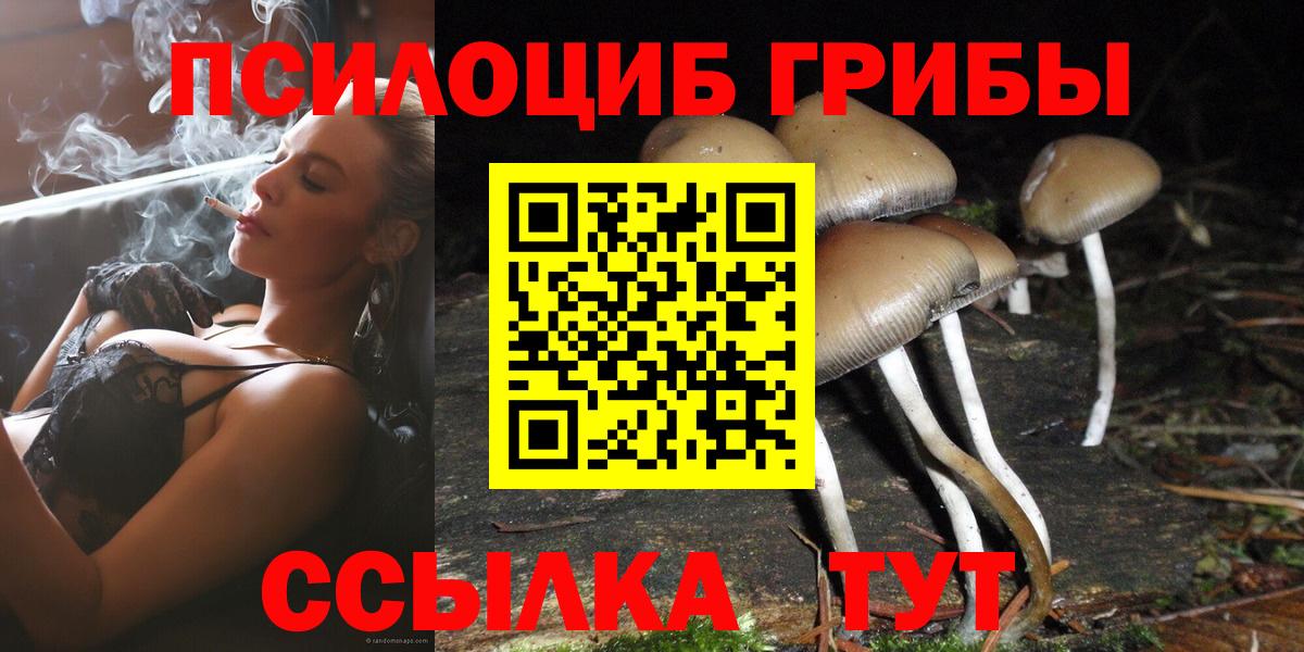 Галлюциногенные грибы Cubensis  Белогорск 