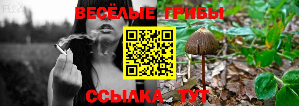 Псилоцибиновые грибы Psilocybine cubensis  Вход с VPN  Белогорск 