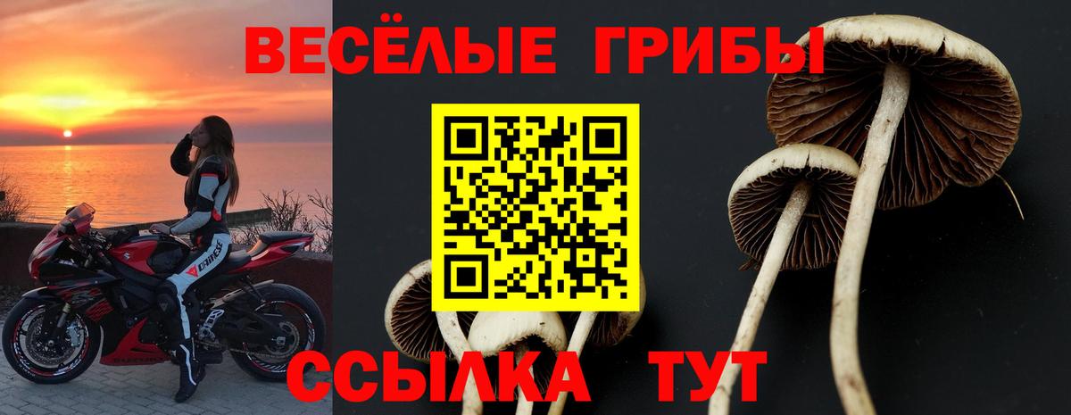 Галлюциногенные грибы GOLDEN TEACHER Белогорск